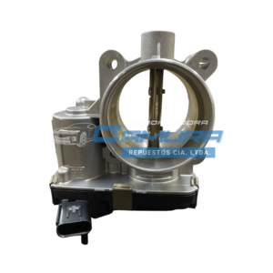 Cuerpo Acel Cruze-Camura