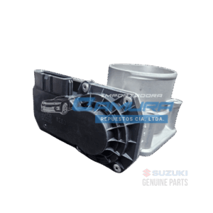 CuerpoAcel_sz2.4_camura1