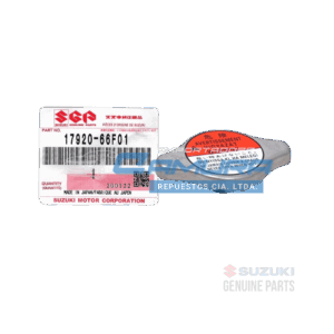 TapaRadiadorGV_SZ_Camura1